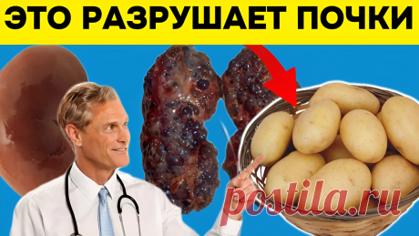 Это и есть 10 продуктов, разрушающих почки? Врачи их назвали и поделились семью правилами здоровых почек | Игорь Ботоговский | Дзен