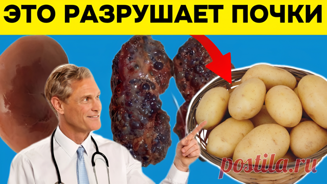 Это и есть 10 продуктов, разрушающих почки? Врачи их назвали и поделились семью правилами здоровых почек | Игорь Ботоговский | Дзен