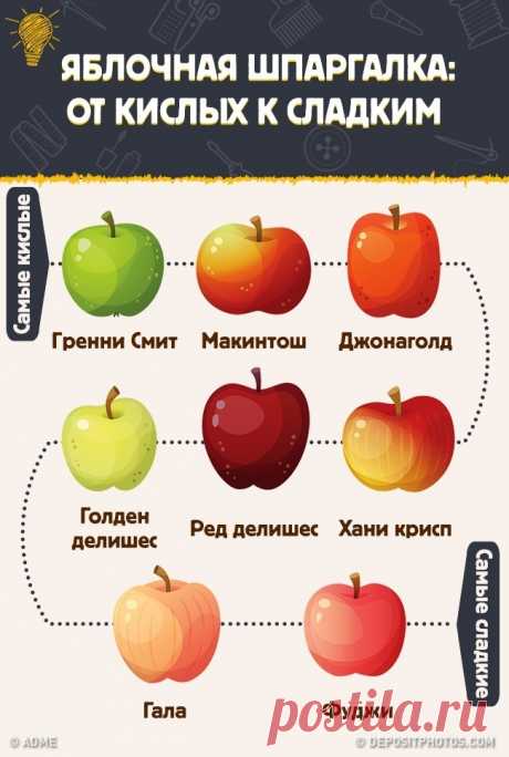 О ЯБЛОКАХ