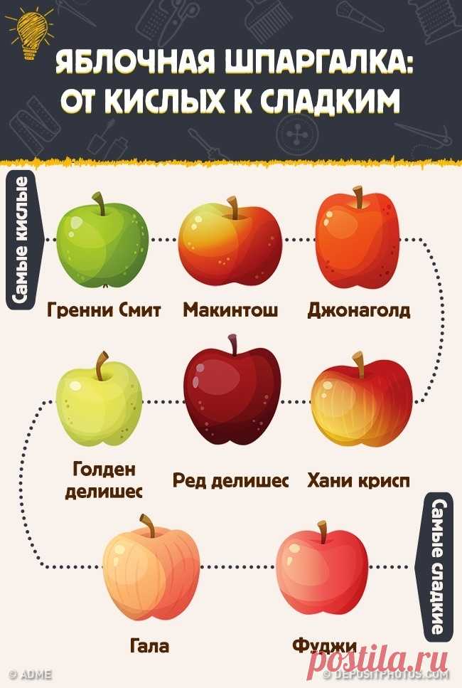 О ЯБЛОКАХ