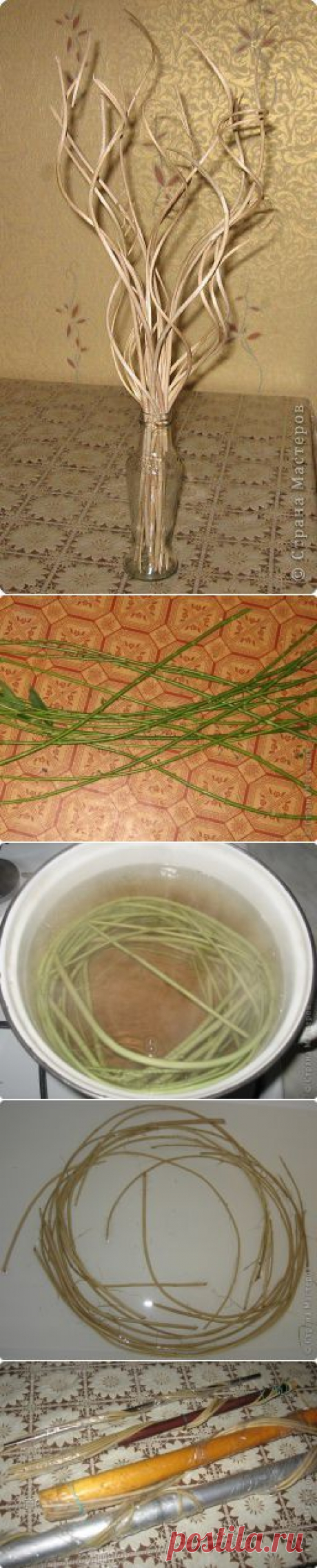 ВЕТКИ ДЛЯ УКРАШЕНИЯ.