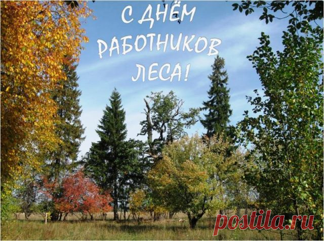С Днем работников леса
Я тебя поздравляю!
Счастья, жизни чудесной
Всей душою желаю.