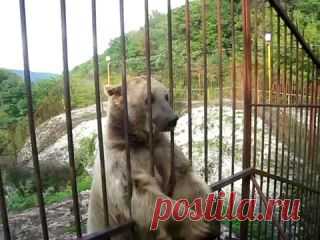 BRAIN - умный журнал!