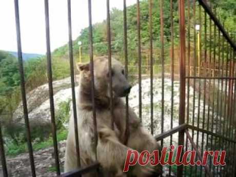 BRAIN - умный журнал!