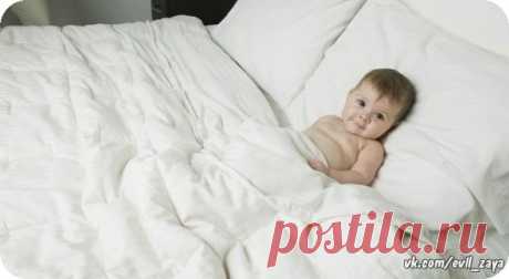 ✔ Злая Зайка