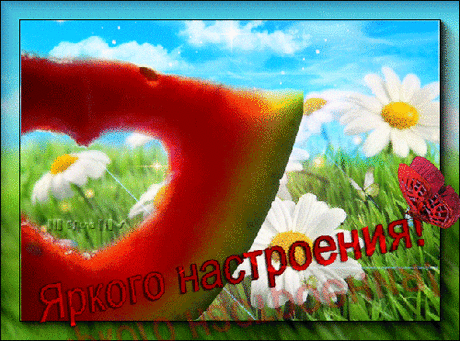 Желаю яркого Настроения - открытки и картинки Желаю яркого Настроения - Настроение в картинках красивые открытки для поздравления и анимационные картинки на праздник