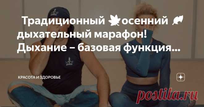 Красота и Здоровье Пост автора «Красота и Здоровье» в Дзене ✍: 🟠 Традиционный 🍁осенний 🍂 дыхательный марафон!