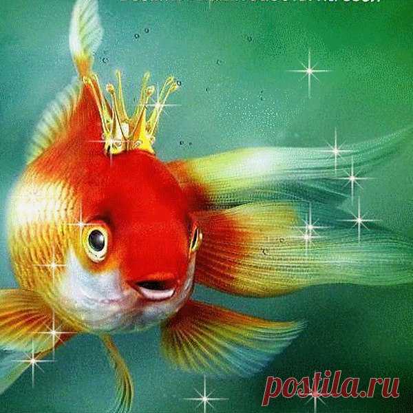 Рыбку Золотую в море повстречала,
Ей свои желания исполнить заказала,
Что бы быть богатой, любимой и красивой
Исполнятся желания - стану я счастливой!
Рыбка удивленно с улыбкой посмотрела:"
А не много, девушка, ты сразу захотела?
Не смогу я выполнить все твои задания,
Лишь одно исполню из твоих желаний.
Слишком уж большие у тебя запросы,
Ты ответь сначала на мои вопросы.
Сделаю красивой, только бедной будешь,
А богатой станешь, - о любви забудешь.