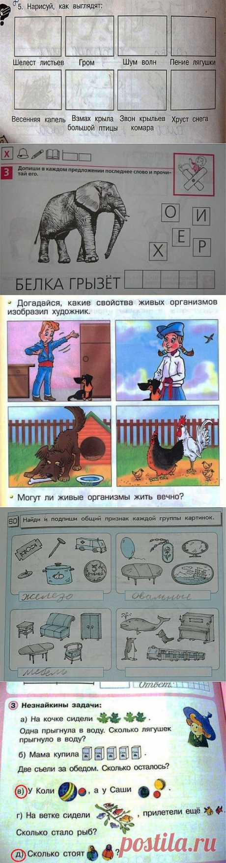 Идиотские учебники. Цитаты.