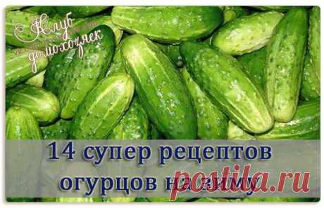 14 рецептов огурцов на зиму