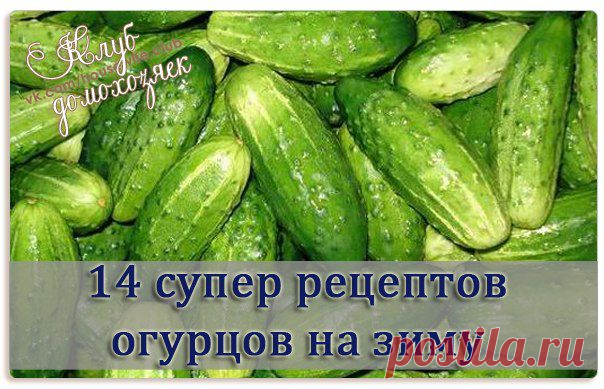 14 рецептов огурцов на зиму