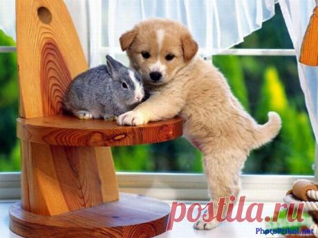 �������� �������� (50 ����) - ������� www.photoprikol.net