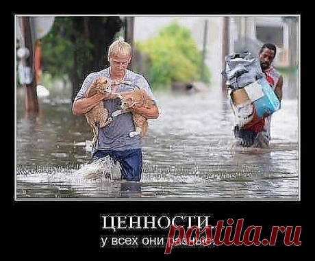(40) Одноклассники