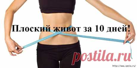 Плоский живот за 10 дней!