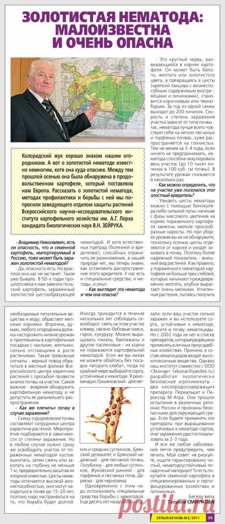 Золотистая нематода