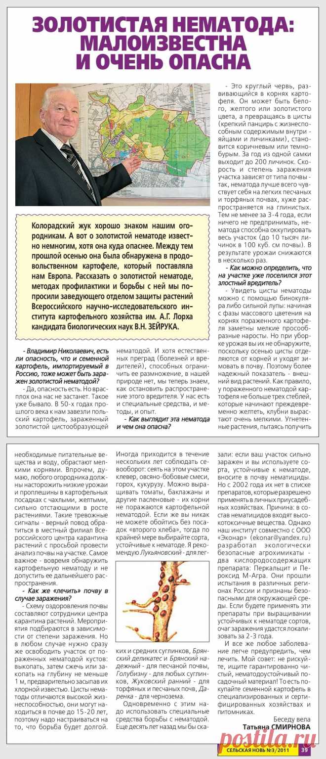 Золотистая нематода
