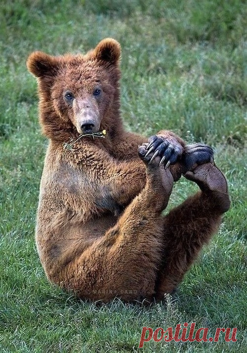 Фото дня.