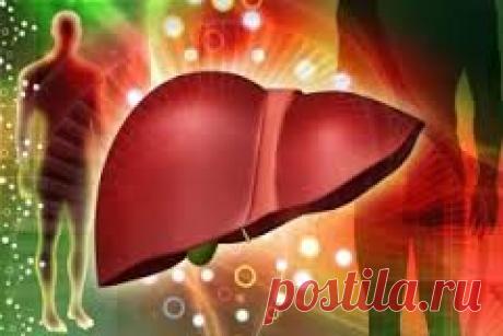 как сделать дренаж печени - Поиск в Google
