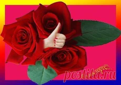 Плейкаст «Soli»