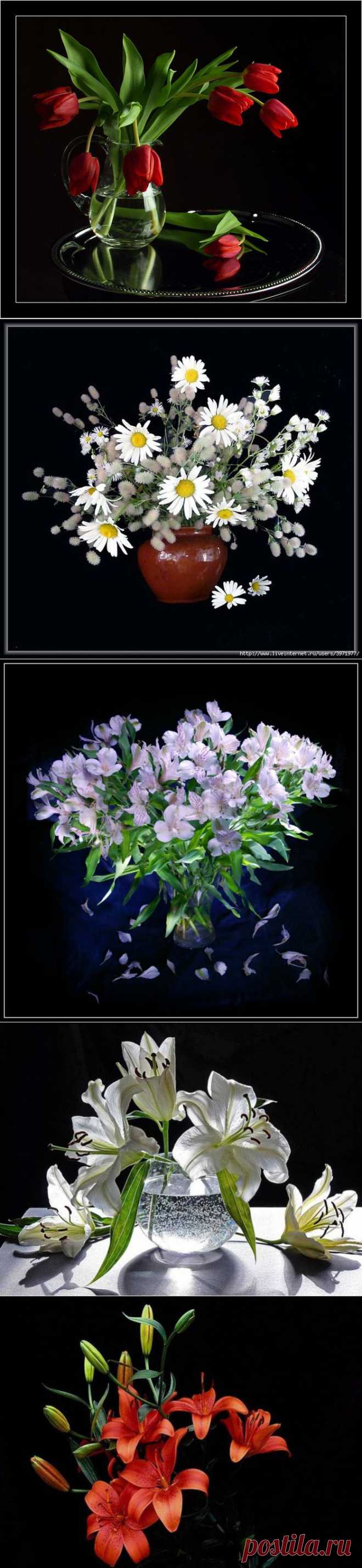 Натюрморт на черном фоне.