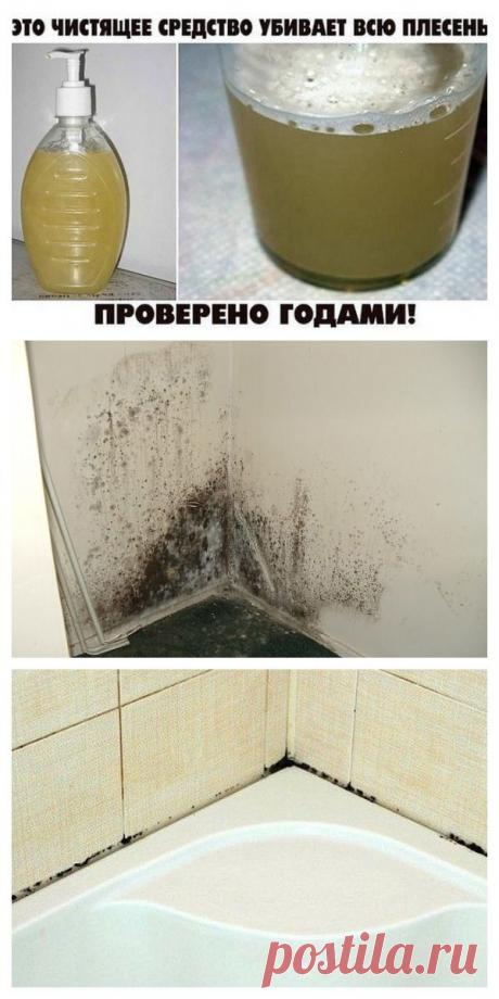 ЭТО ЧИСТЯЩЕЕ СРЕДСТВО УБИВАЕТ ВСЮ ПЛЕСЕНЬ! ПРОВЕРЕНО ГОДАМИ!