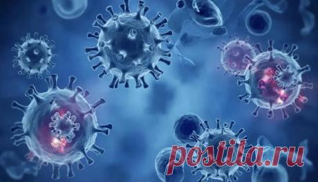 Нарушения иммунитета: виды, причины и симптомы. Полный обзор иммунодефицитов, аллергии и аутоиммунных болезней