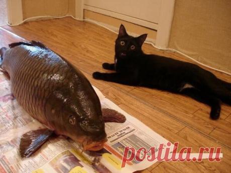 Мечты сбываются!!!!!!!!!!!!!! https://dengiestvrukax.blogspot.ru