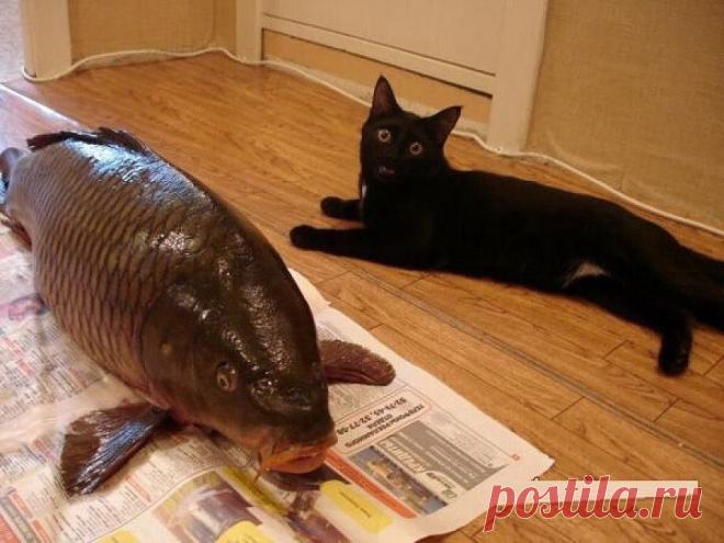 Мечты сбываются!!!!!!!!!!!!!! http://dengiestvrukax.blogspot.ru