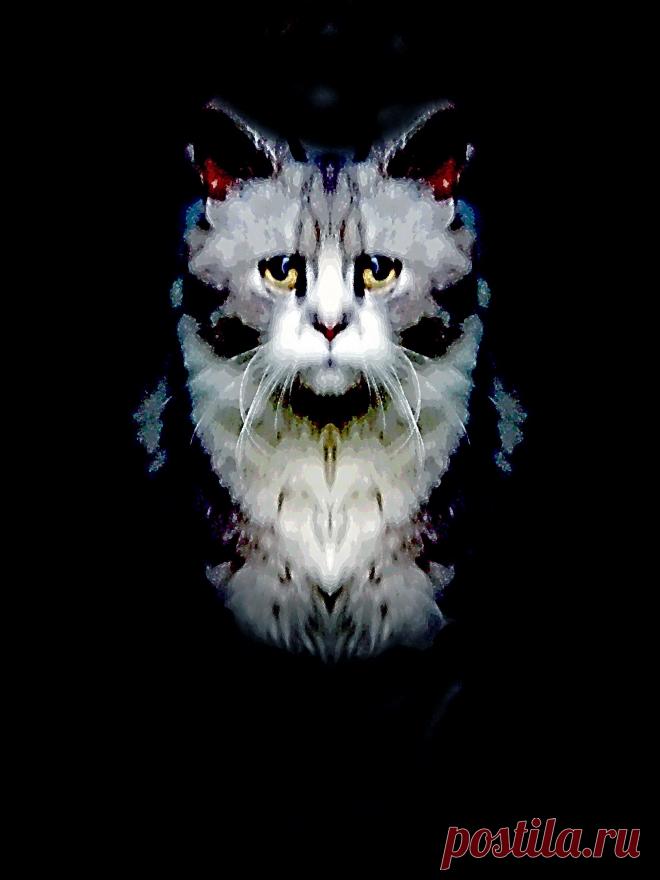 Строгая симметрия. Фотографика.