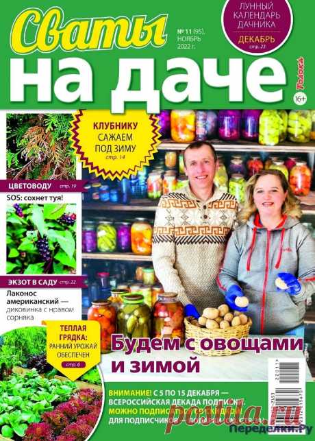 Сваты на даче №11 2022 * Переделки.РуПеределки.Ру