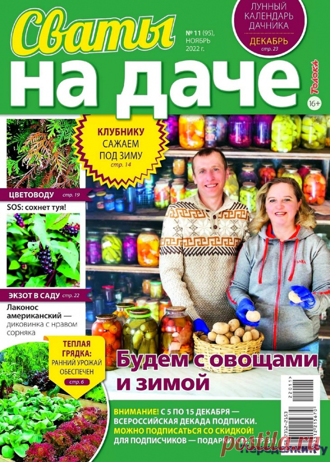 Сваты на даче №11 2022 * Переделки.РуПеределки.Ру