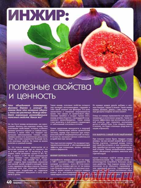 Инжир: полезные свойства и ценность