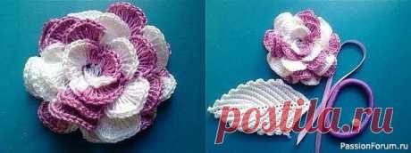 Красивый цветок. Просто и красиво! | Вязаные крючком аксессуары Наберите начальную цепочку из 40 воздушных петель + 3 возд. петли подъема.1-й ряд вяжите через одну петлю цепочки, из следующей петли провязывая 2 ст.с/н, разделенных одной возд. петлей.2-й ряд начните с 3-х возд. петель подъема, из каждой арочки между столбиками вяжите 2 ст. с/н, 3...