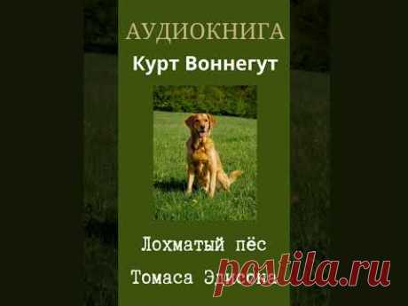 АУДИОКНИГА_ЛОХМАТЫЙ ПЁС ТОМАСА ЭДИСОНА _КУРТ ВОННЕГУТ