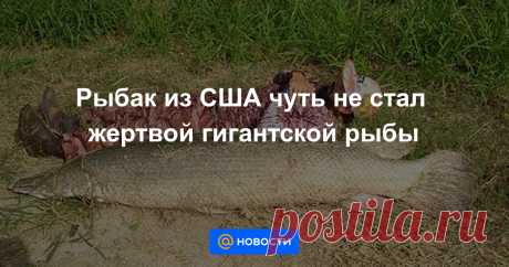 Рыбак из США чуть не стал жертвой гигантской рыбы Но человек в этой схватке вышел победителем.