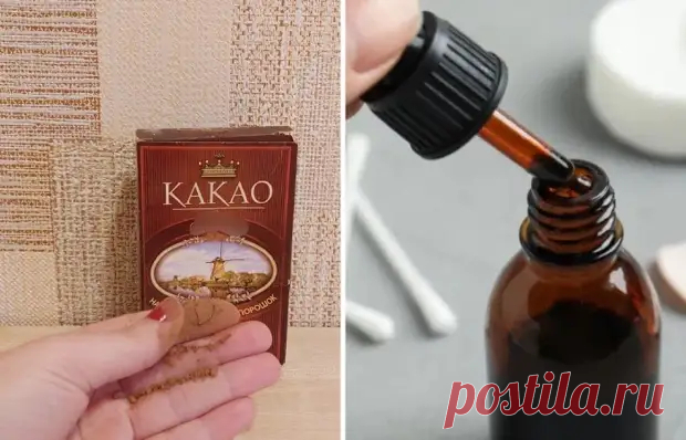 Зачем в масло капать йод, а какао растирать пальцами: уникальные способы проверки качества продуктов - Квартира, дом, дача - Медиаплатформа МирТесен