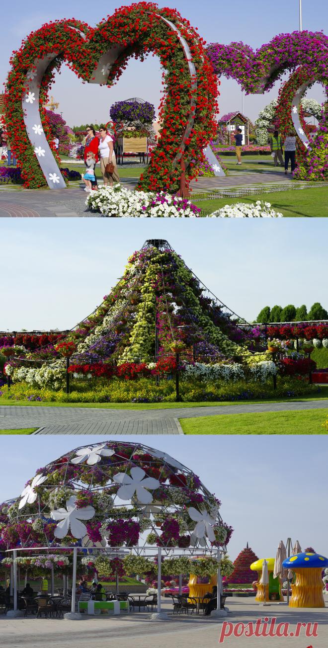 Сад чудес - "Miracle Garden".