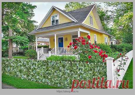 Как придать забору из сетки-рабицы невероятно красивый вид — Идеи домашнего мастера