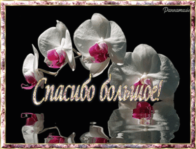 УЗЕЛОК НА ЗДОРОВЬЕ.