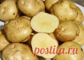 Мозоль – лечение мозолей народными средствами и методами