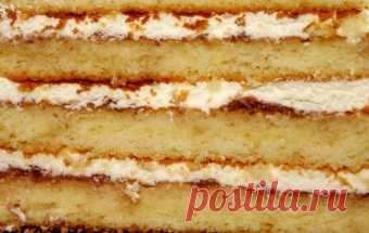 Основа для торта «7 стаканов» / Тесто / TVCook: пошаговые рецепты с фото