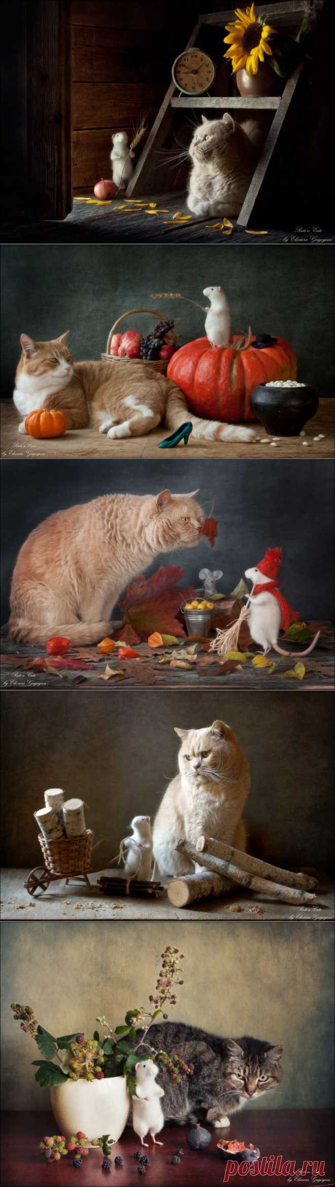 35PHOTO - Eleonora Grigorjeva - Rats'n'Cats. Вот и осень...