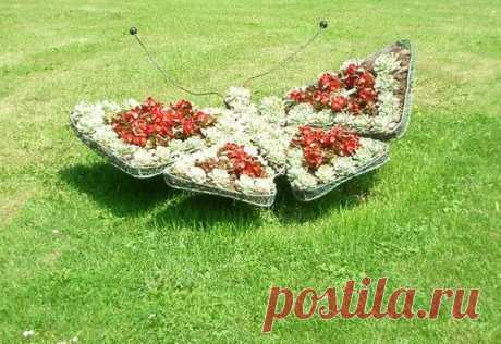 Фотографии на стене сообщества | 32 801 фотография
