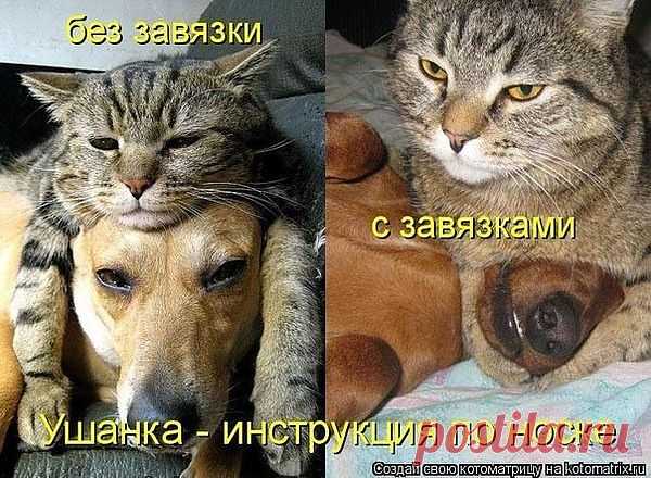 Мой Мир@Mail.Ru