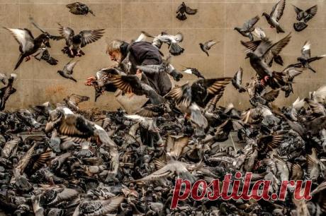 Победители конкурса уличной фотографии LensCulture 2017