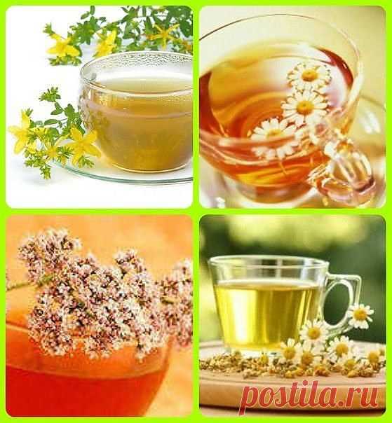 ОЧИЩЕНИЕ КРОВИ НАРОДНЫМИ СРЕДСТВАМИ.