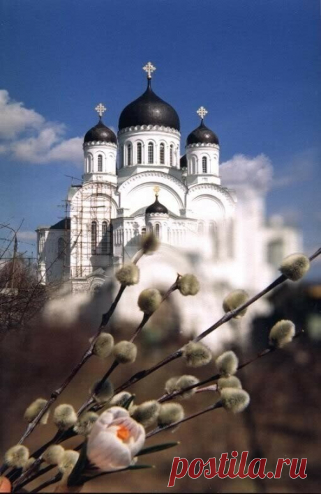 ༺🌸༻С чудесным Вербным Воскресеньем!
К нам светлый праздник в дом идёт.
Пусть по Господнему веленью
Царит любовь, печаль пройдёт.

Не нужно больше нам несчастий!
Верба спасёт от вечных бед.
Ведь с верой просто, в одночасье
От зла простынет даже след.

Желаю в праздник всем здоровья,
Не падать духом, не стареть.
Пусть окружит вас мир любовью —
Не победить невзгодам впредь!