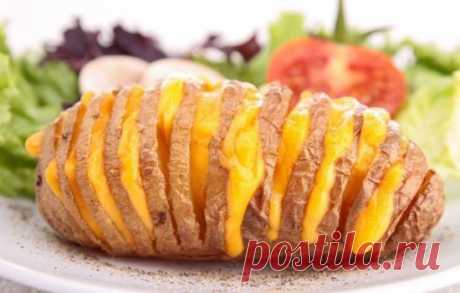 Рецепты запеченной картошки в духовке с сыром, секреты выбора