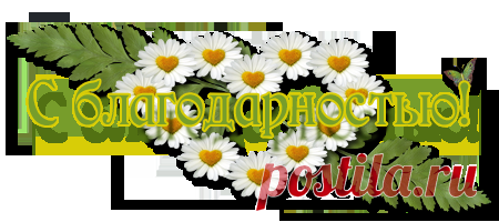 Программы, без которых ни один пользователь не сможет работать за компьютером