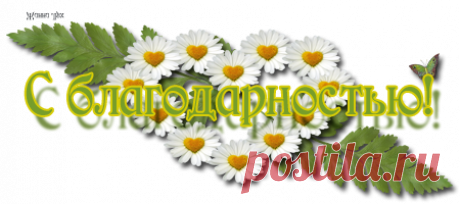 Программы, без которых ни один пользователь не сможет работать за компьютером